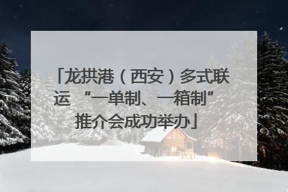 龙拱港（西安）多式联运 “一单制、一箱制” 推介会成功举办