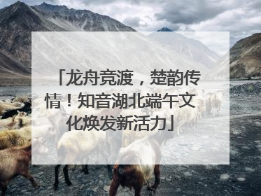 龙舟竞渡，楚韵传情！知音湖北端午文化焕发新活力