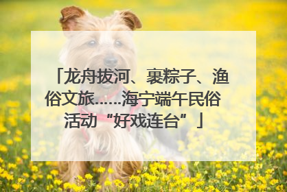 龙舟拔河、裹粽子、渔俗文旅……海宁端午民俗活动“好戏连台”