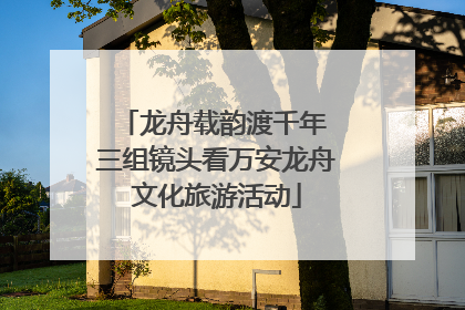 龙舟载韵渡千年 三组镜头看万安龙舟文化旅游活动
