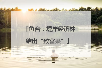 鱼台：堤岸经济林结出“致富果”