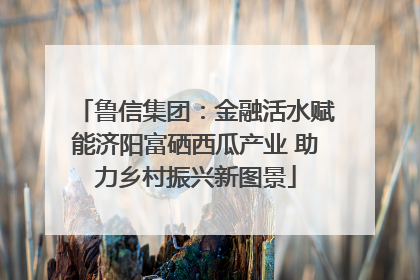鲁信集团：金融活水赋能济阳富硒西瓜产业 助力乡村振兴新图景