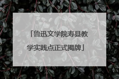 鲁迅文学院寿县教学实践点正式揭牌