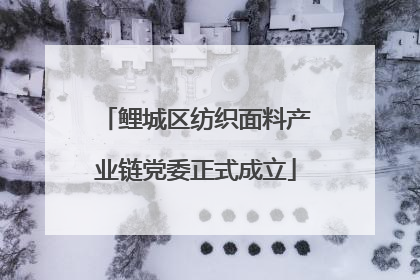 鲤城区纺织面料产业链党委正式成立