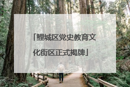 鲤城区党史教育文化街区正式揭牌