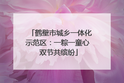 鹤壁市城乡一体化示范区：一粽一童心 双节共缤纷
