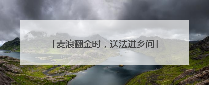 麦浪翻金时，送法进乡间
