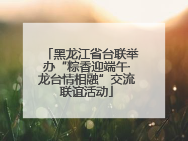 黑龙江省台联举办“粽香迎端午·龙台情相融”交流联谊活动