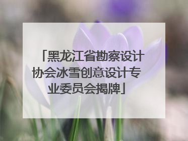 黑龙江省勘察设计协会冰雪创意设计专业委员会揭牌