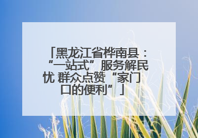 黑龙江省桦南县：“一站式”服务解民忧 群众点赞“家门口的便利”