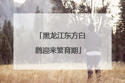 黑龙江东方白鹳迎来繁育期