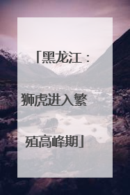 黑龙江：狮虎进入繁殖高峰期