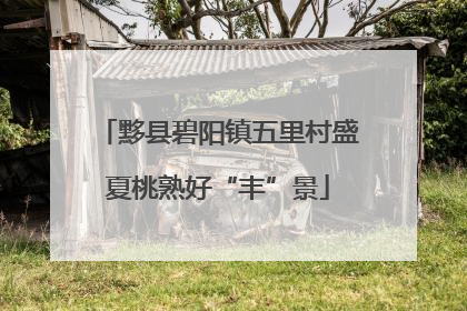 黟县碧阳镇五里村盛夏桃熟好“丰”景