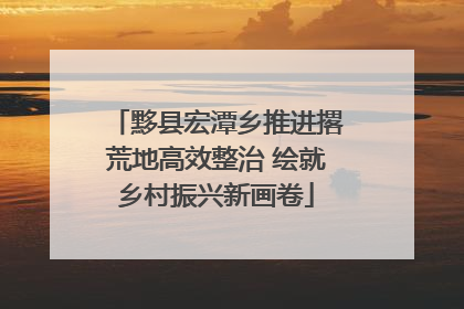 黟县宏潭乡推进撂荒地高效整治 绘就乡村振兴新画卷