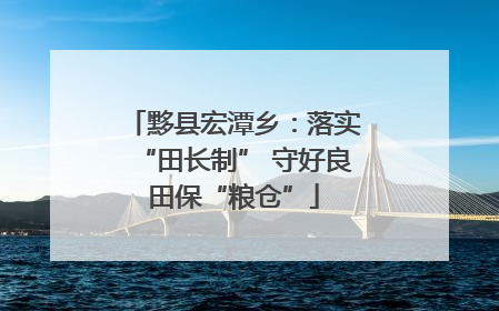 黟县宏潭乡：落实“田长制” 守好良田保“粮仓”