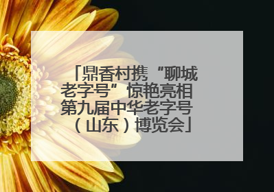 鼎香村携“聊城老字号”惊艳亮相第九届中华老字号（山东）博览会