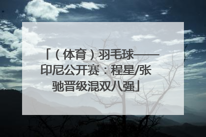 （体育）羽毛球——印尼公开赛：程星/张驰晋级混双八强