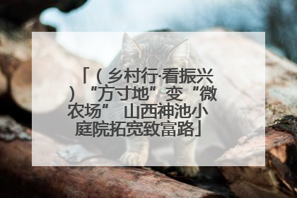 （乡村行·看振兴）“方寸地”变“微农场” 山西神池小庭院拓宽致富路