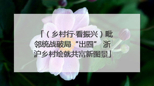 （乡村行·看振兴）毗邻统战破局“出圈” 浙沪乡村绘就共富新图景