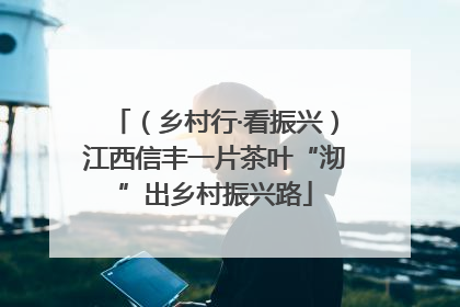 （乡村行·看振兴）江西信丰一片茶叶“沏”出乡村振兴路