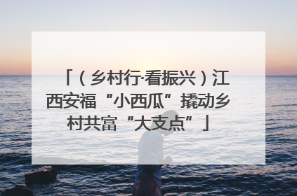 （乡村行·看振兴）江西安福“小西瓜”撬动乡村共富“大支点”