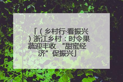 （乡村行·看振兴）浙江乡村：时令果蔬迎丰收 “甜蜜经济”促振兴