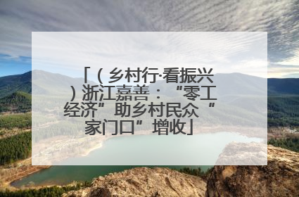 （乡村行·看振兴）浙江嘉善：“零工经济”助乡村民众“家门口”增收