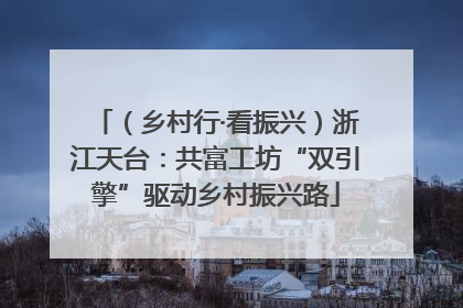 （乡村行·看振兴）浙江天台：共富工坊“双引擎”驱动乡村振兴路
