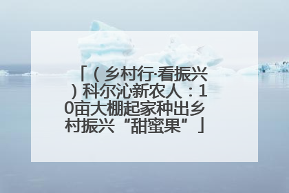 （乡村行·看振兴）科尔沁新农人：10亩大棚起家种出乡村振兴“甜蜜果”