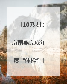 107只北京雨燕完成年度“体检”