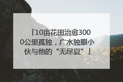 10亩花田治愈3000公里孤独，广水独眼小伙与他的“无尽夏”