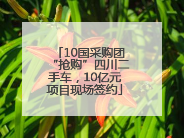 10国采购团“抢购”四川二手车，10亿元项目现场签约