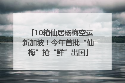 10箱仙居杨梅空运新加坡！今年首批“仙梅”抢“鲜”出国