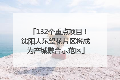 132个重点项目！沈阳大东望花片区将成为产城融合示范区