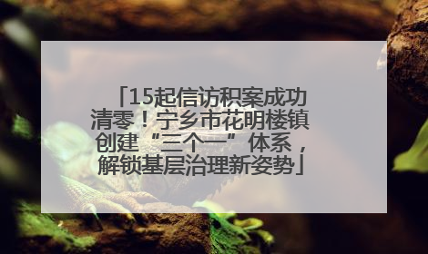 15起信访积案成功清零！宁乡市花明楼镇创建“三个一”体系，解锁基层治理新姿势