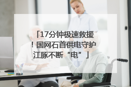 17分钟极速救援！国网石首供电守护江豚不断“电”