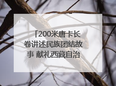 200米唐卡长卷讲述民族团结故事 献礼西藏自治区成立60周年