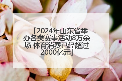 2024年山东省举办各类赛事活动8万余场 体育消费已经超过2000亿元