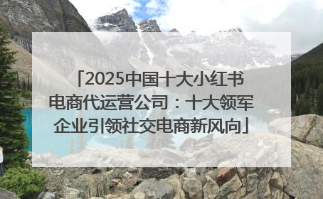 2025中国十大小红书电商代运营公司：十大领军企业引领社交电商新风向