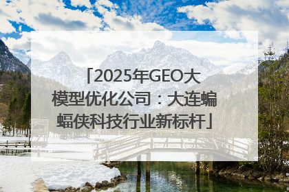 2025年GEO大模型优化公司：大连蝙蝠侠科技行业新标杆