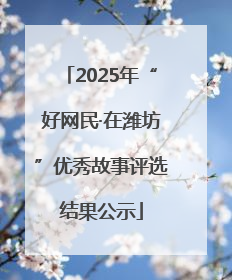 2025年“好网民·在潍坊”优秀故事评选结果公示