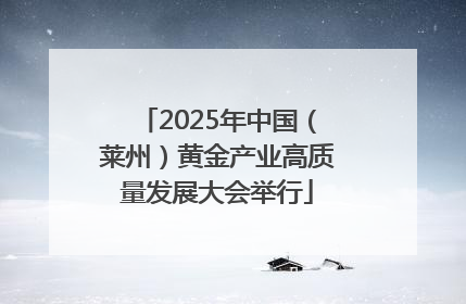 2025年中国（莱州）黄金产业高质量发展大会举行