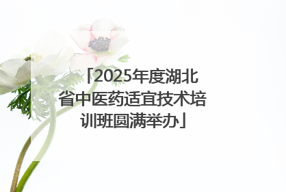2025年度湖北省中医药适宜技术培训班圆满举办