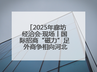 2025年廊坊经洽会·现场丨国际招商“磁力”足 外商争相向河北推介项目