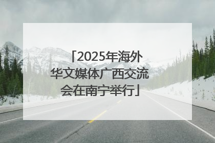 2025年海外华文媒体广西交流会在南宁举行