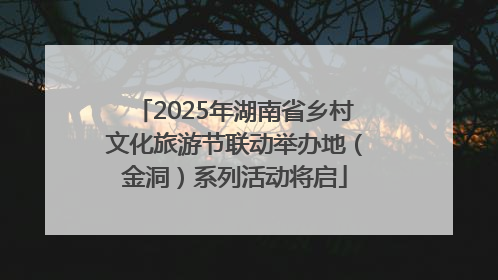 2025年湖南省乡村文化旅游节联动举办地（金洞）系列活动将启