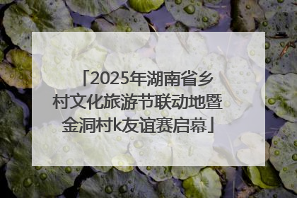 2025年湖南省乡村文化旅游节联动地暨金洞村k友谊赛启幕