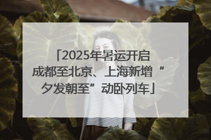 2025年暑运开启 成都至北京、上海新增“夕发朝至”动卧列车