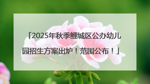 2025年秋季鲤城区公办幼儿园招生方案出炉！范围公布！
