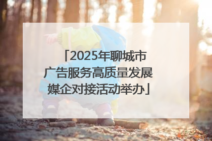 2025年聊城市广告服务高质量发展媒企对接活动举办
